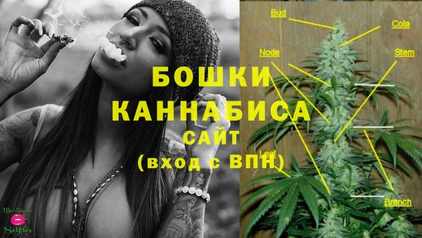 винт Бородино