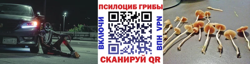 Псилоцибиновые грибы мухоморы Вятские Поляны