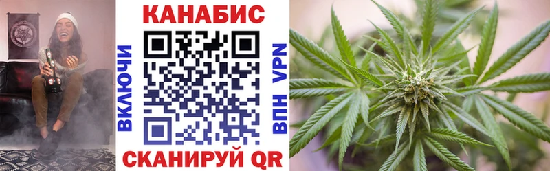 Бошки марихуана план  Вятские Поляны 